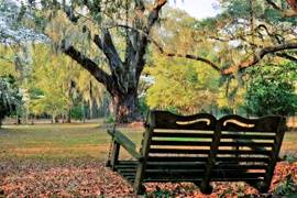Hopsewee Plantation