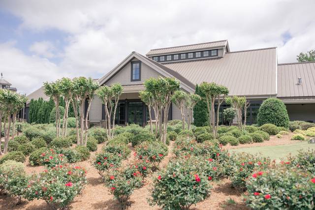 Yonah Mountain Vineyards