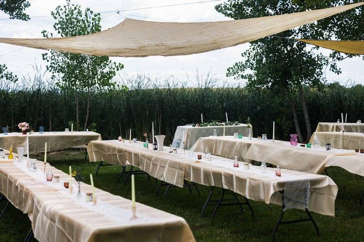 Table Setup Apple Orchard