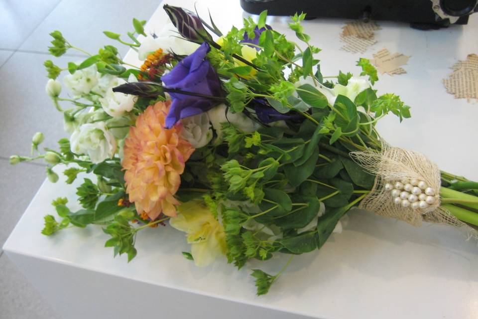 Mindy Read Designs