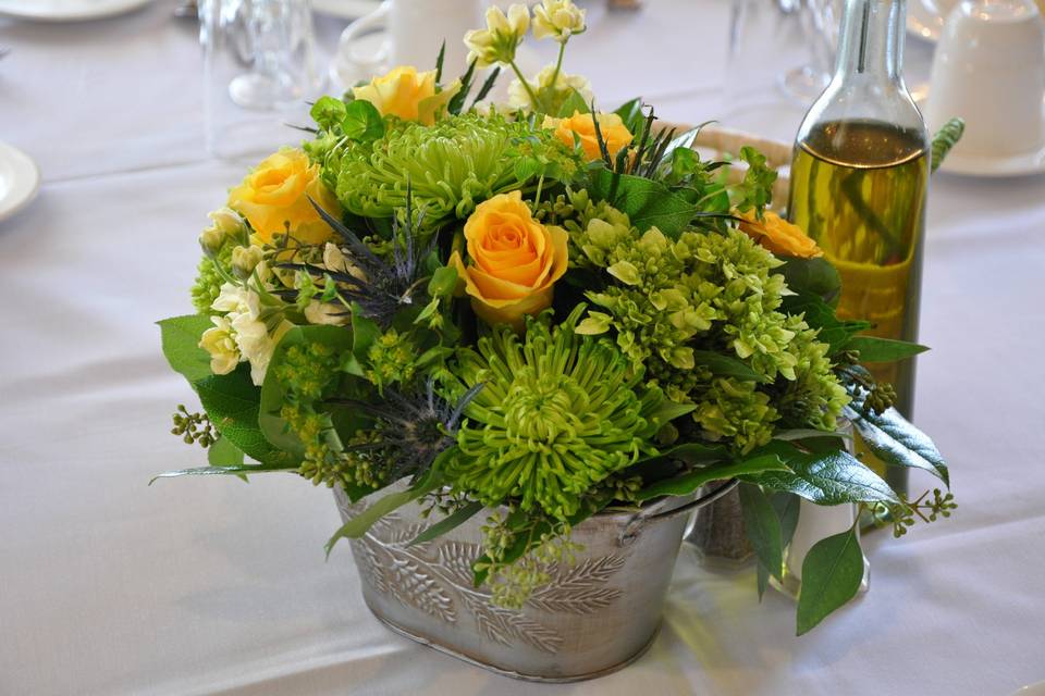 Mindy Read Designs