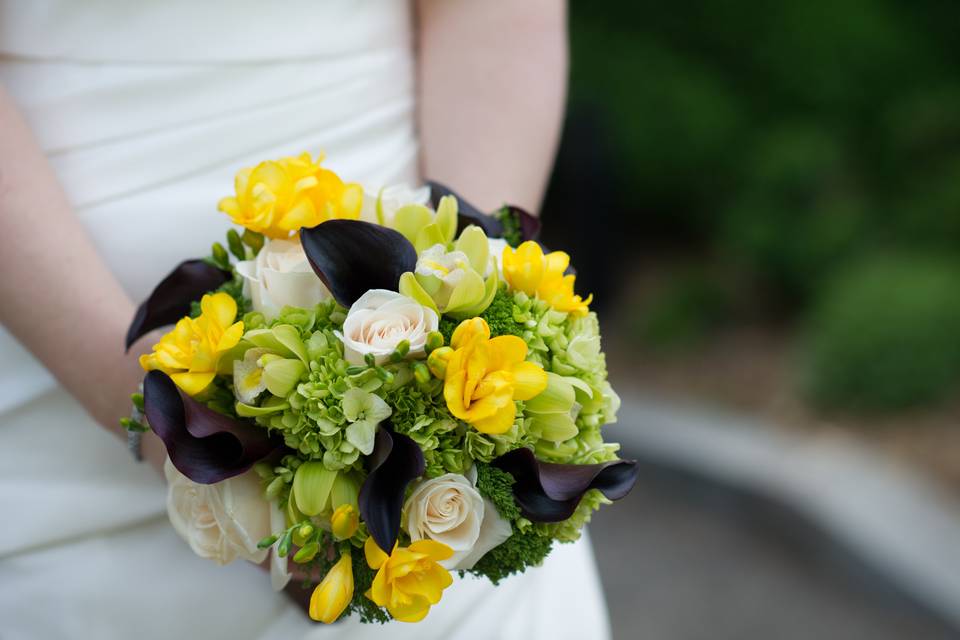 Mindy Read Designs