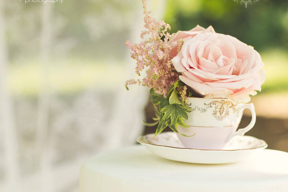 Peony and Porcelain Events