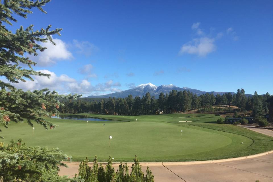 View of San Francisco Peaks