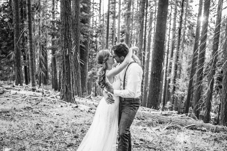 Sequoias forest elopement