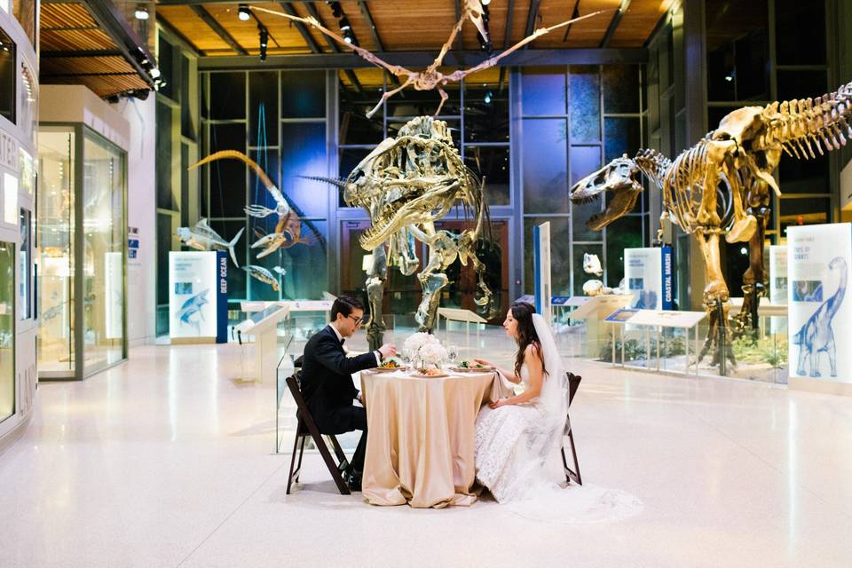 Naylor Family Dinosaur Gallery