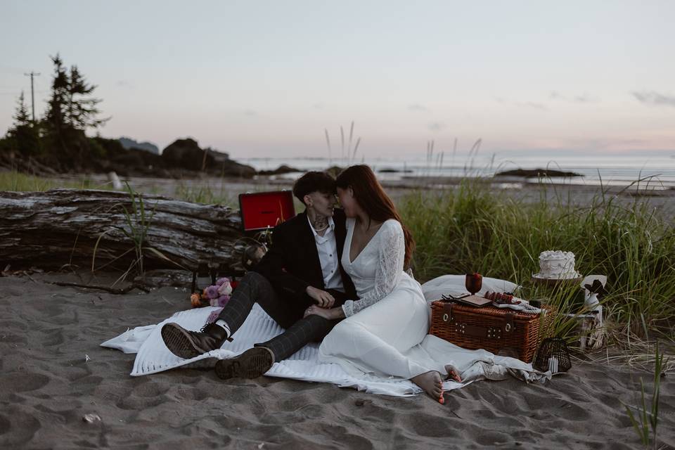 Romantic wedding picnic