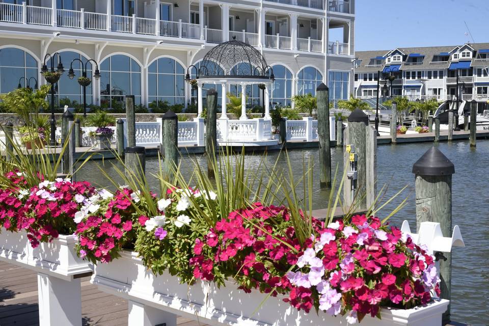 Waterfront Wedding Dome