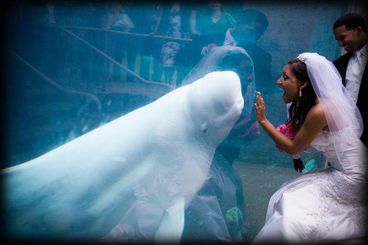 Mystic Aquarium