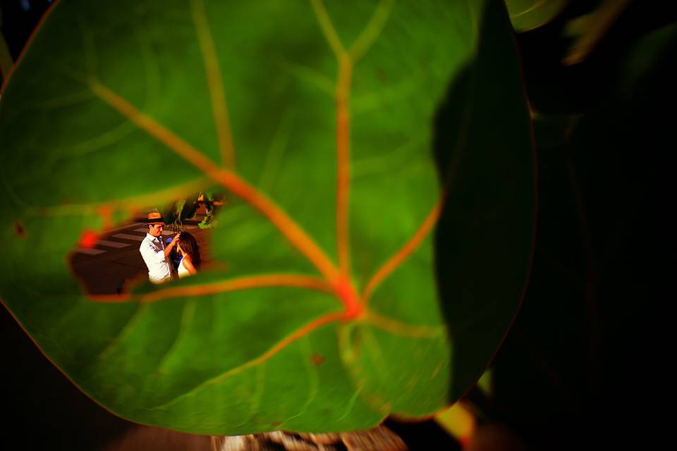 Chokolat Photography