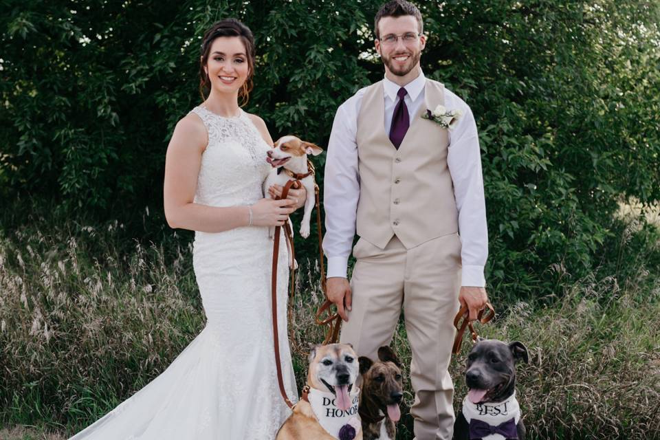 Wild Elopements Photography