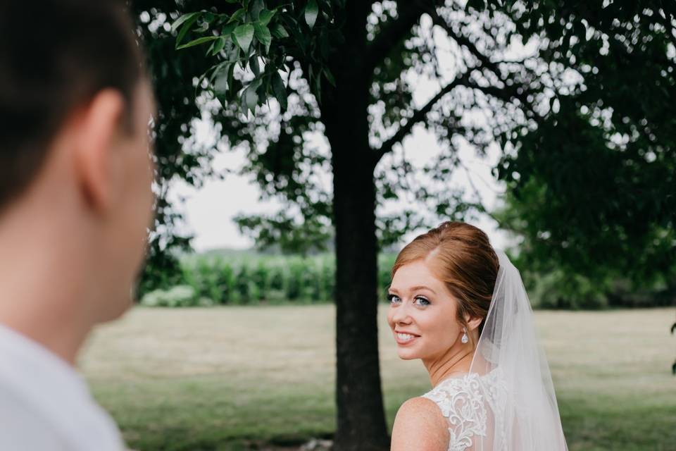 Wild Elopements Photography