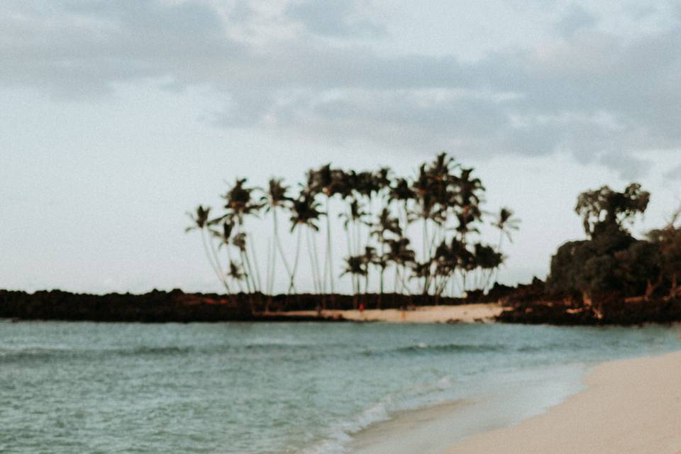 Big Island Engagement