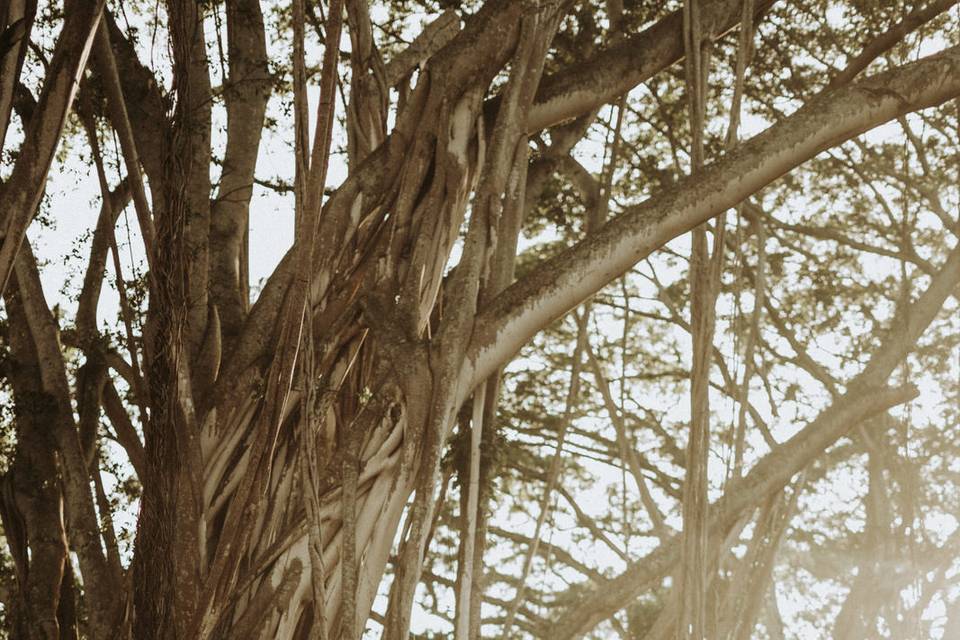 Oahu Elopement