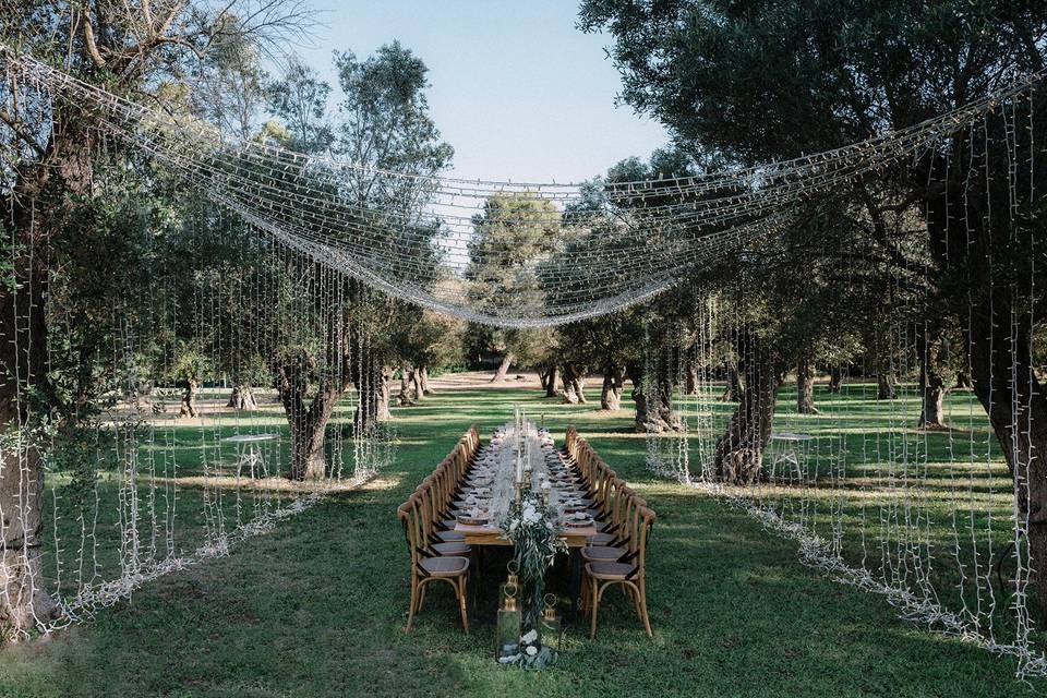 Masseria Olive Grove Table