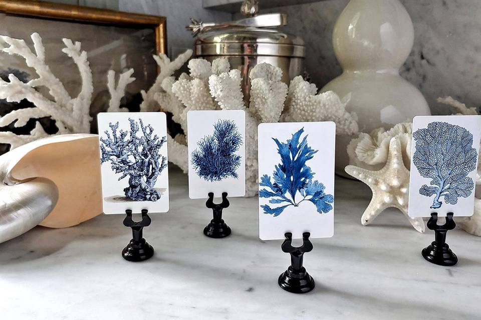 https://cdn0.weddingwire.com/vendor/170168/3_2/960/jpg/mr-ps-place-cards-blue-seaweed-coral-3_51_1861071-1566674974.jpeg