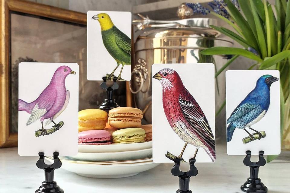 https://cdn0.weddingwire.com/vendor/170168/3_2/960/jpg/mr-ps-place-cards-chromatic-cuckoo-4_51_1861071-1566670786.jpeg