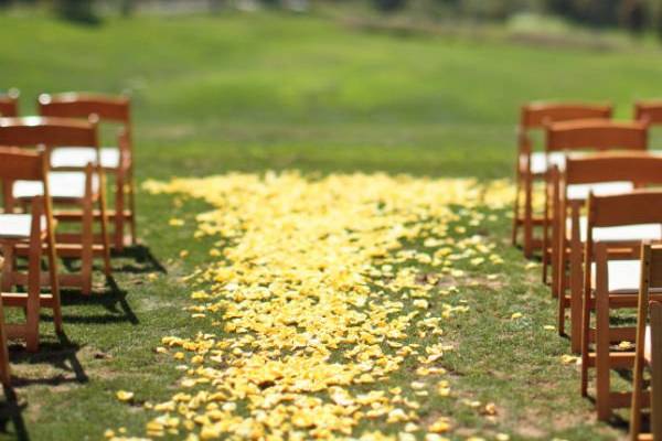 Wedding aisle