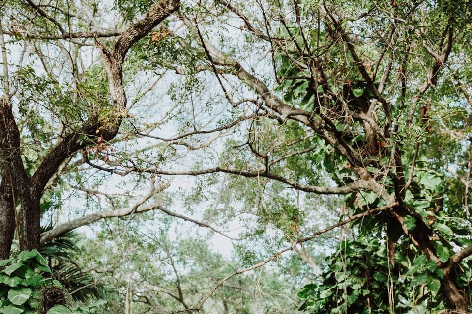 So-Min Kang Photography