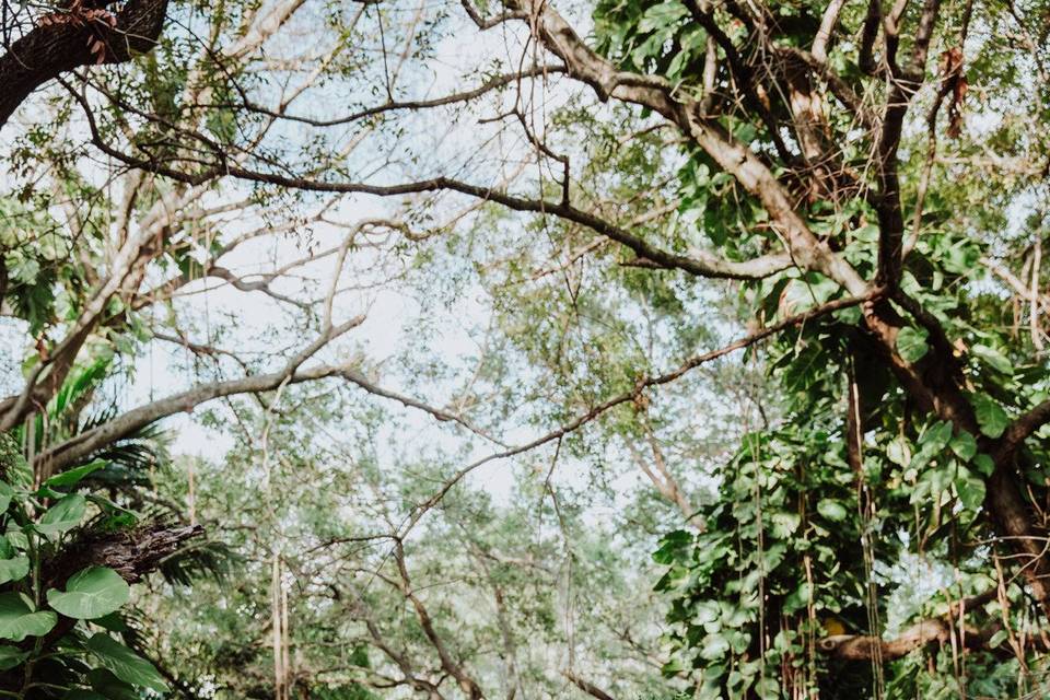 So-Min Kang Photography
