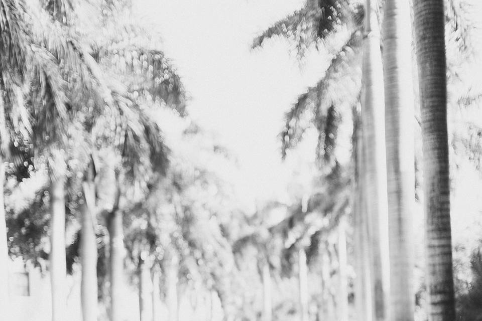 So-Min Kang Photography