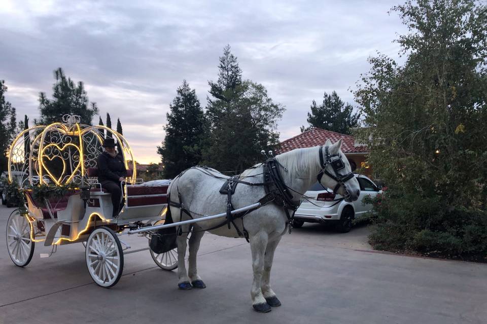 Princess carriage