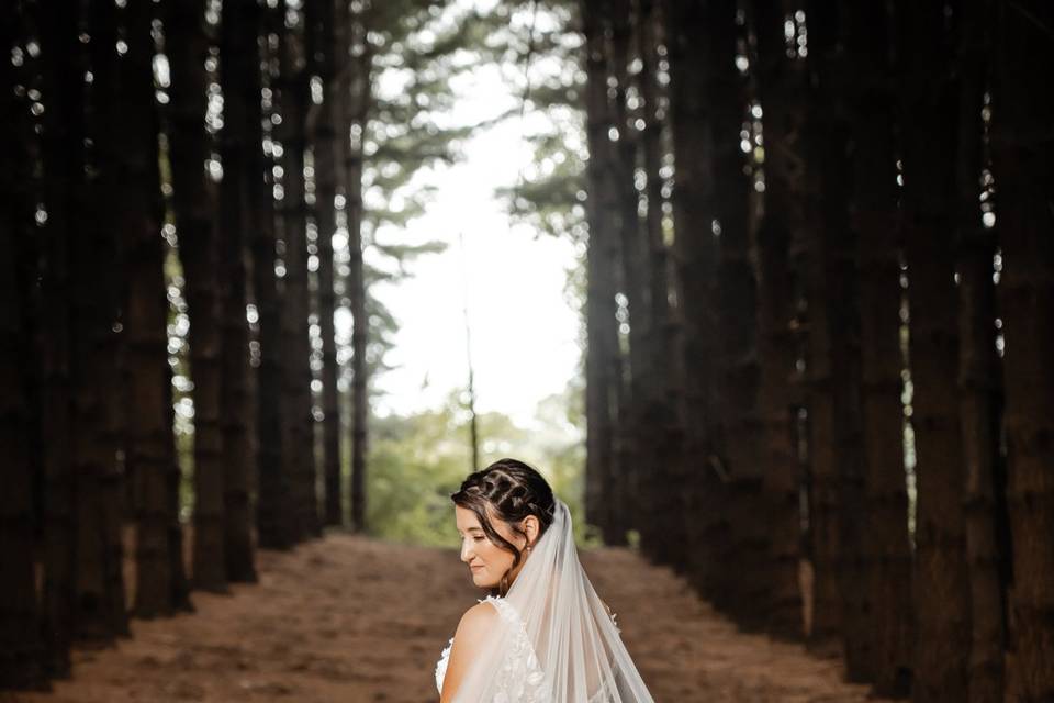Elegant Exposures