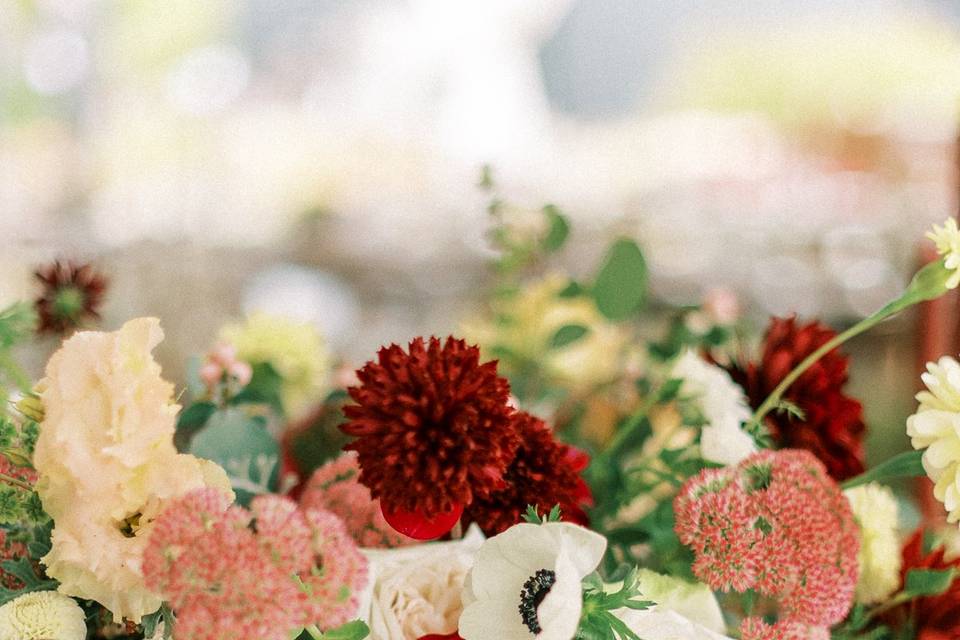 Olga Andreynova Photography