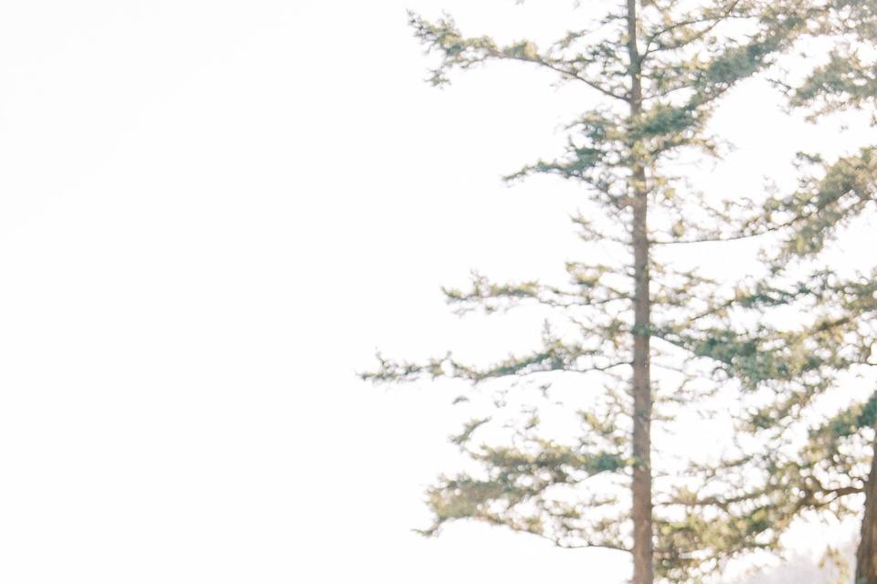 Wedding Photographer Seattle