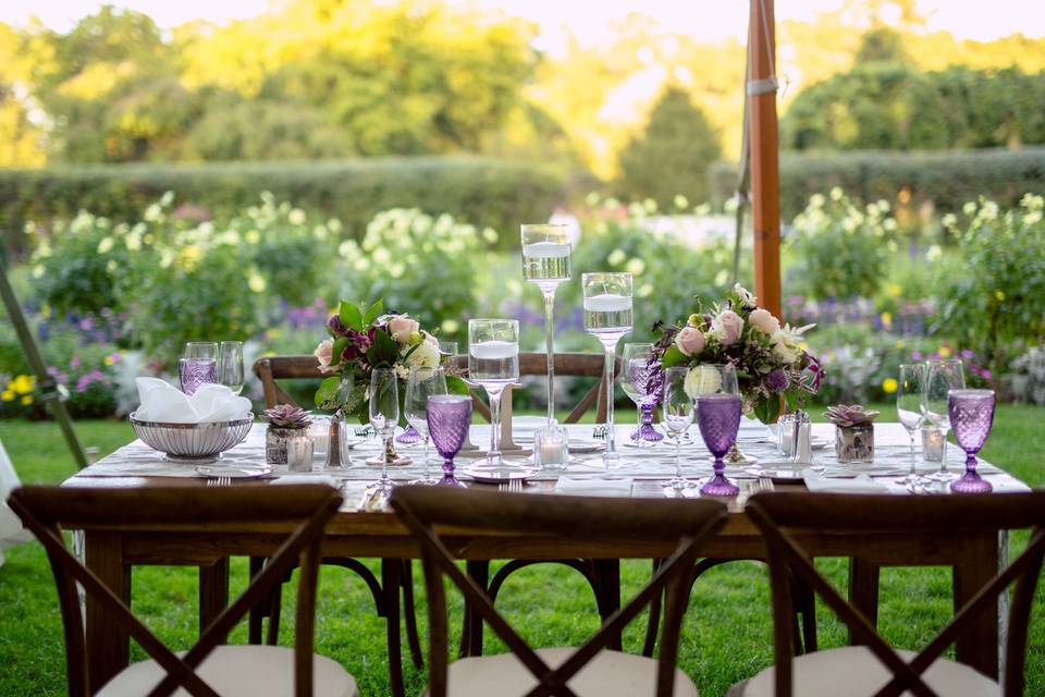 Long table set up with centerpiece