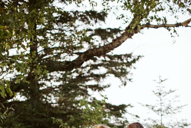 Houghton, MI Wedding