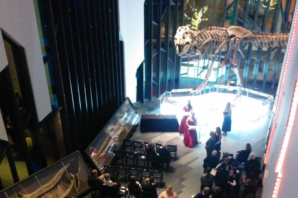 Tying the knot with a TRex as the witness makes for a unique and memorable ceremony.