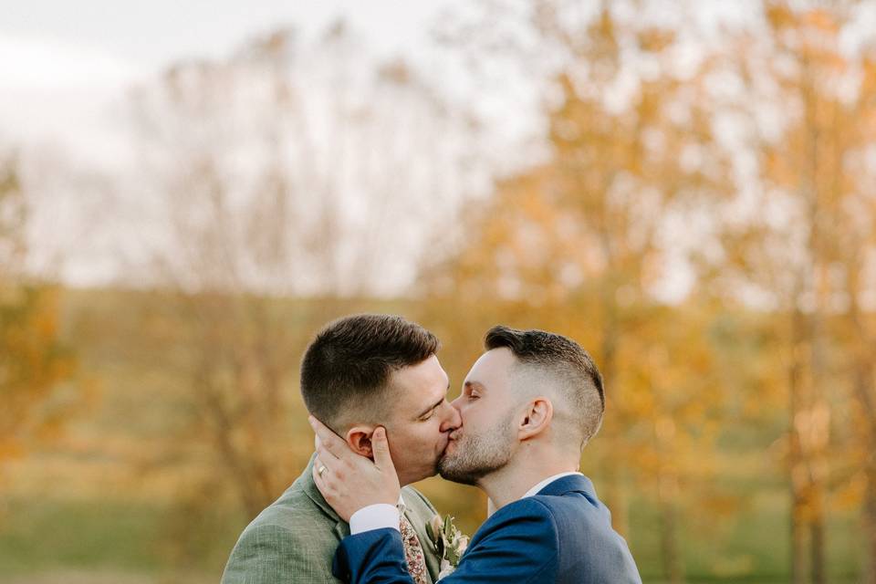 💛💛💛💛💛