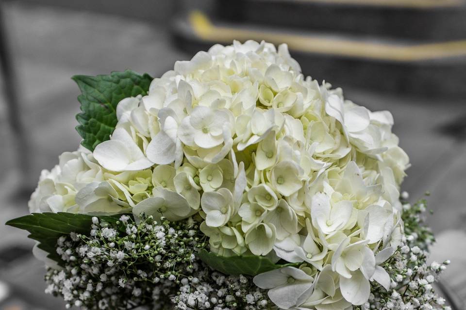 Hand-tied bridesmaid bouquet - hydrangea, baby's breath