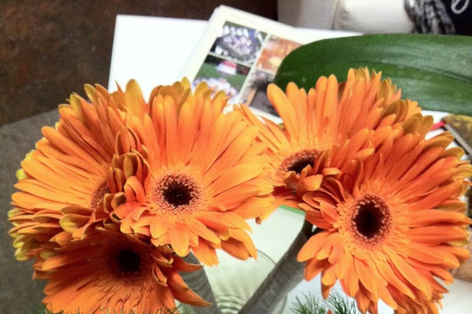 Bridal and bridesmaid's bouquets - gerbera daisies, roses, queen ann's lace