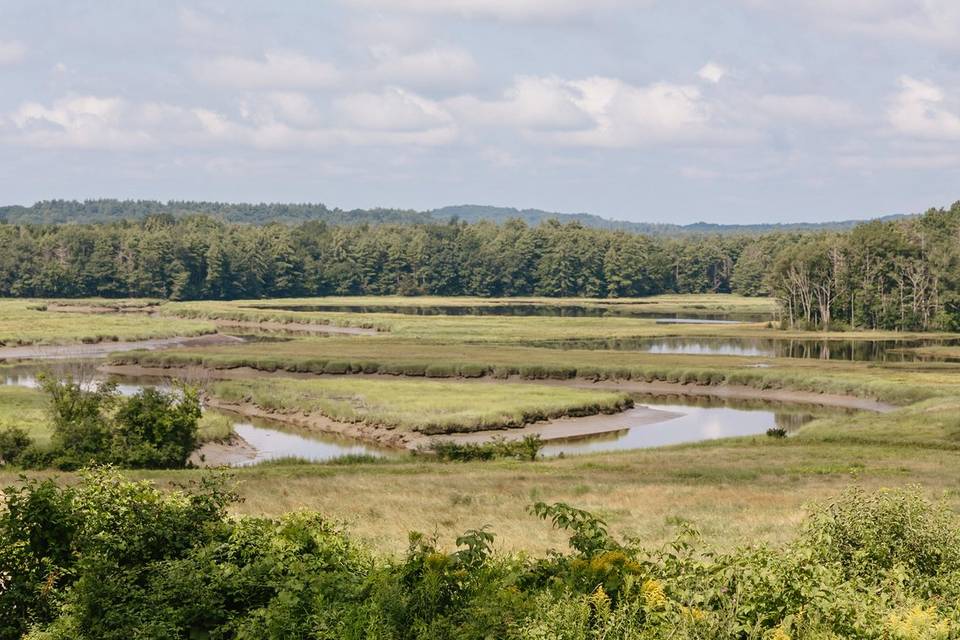 York River Marsh