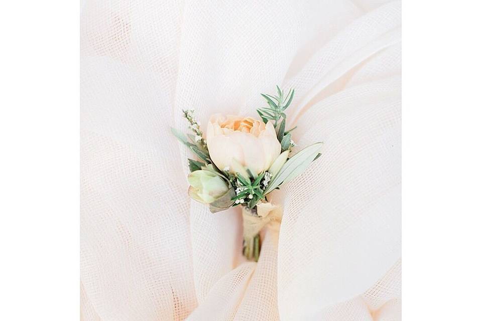 Rochelle Maples Photography