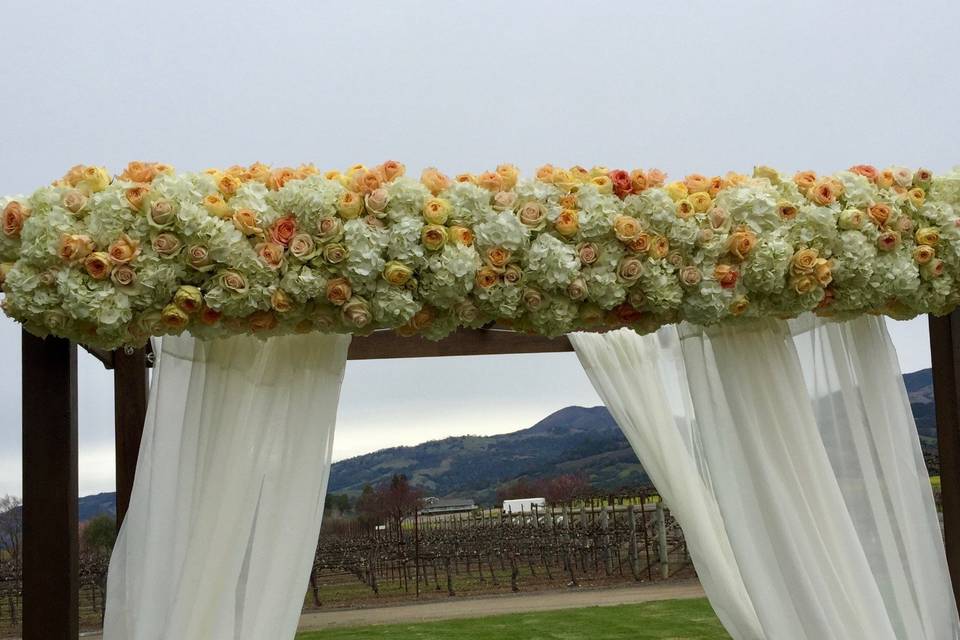 Hydrangeas and roses