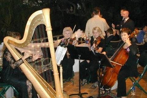 Trio Selby with Betsy on Harp