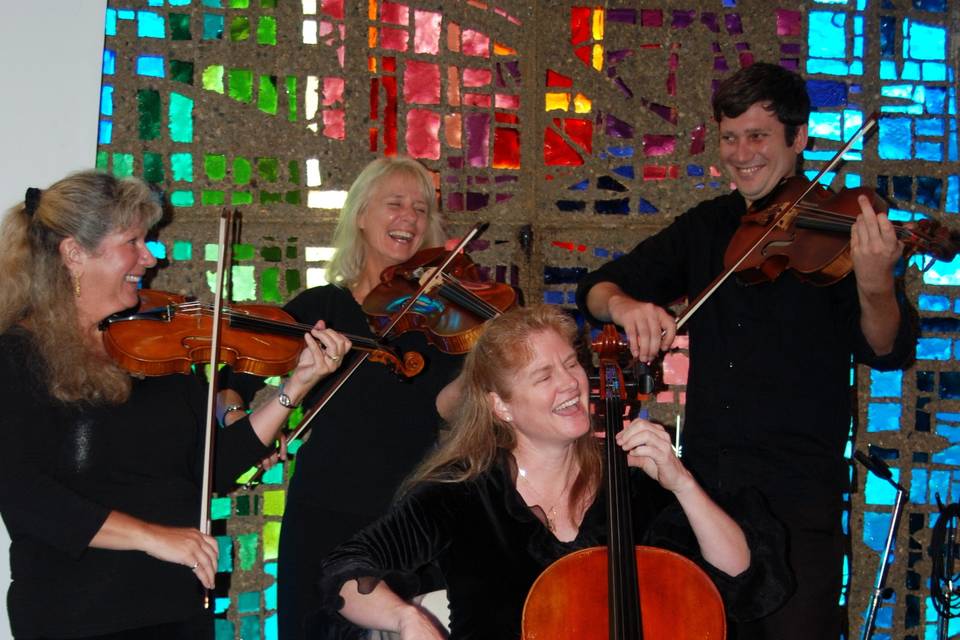 Palm Strings Quartet