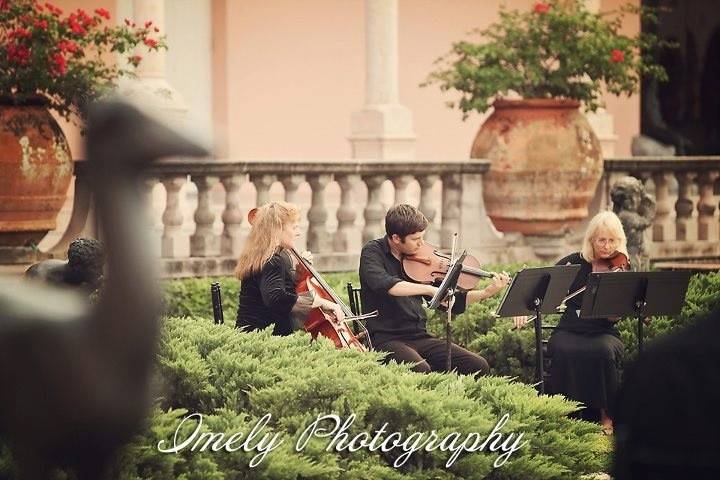 Ringling Mansion, Trio