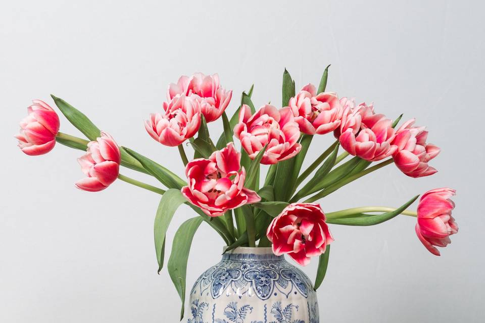 Simple Bouquet of Pink Tulips