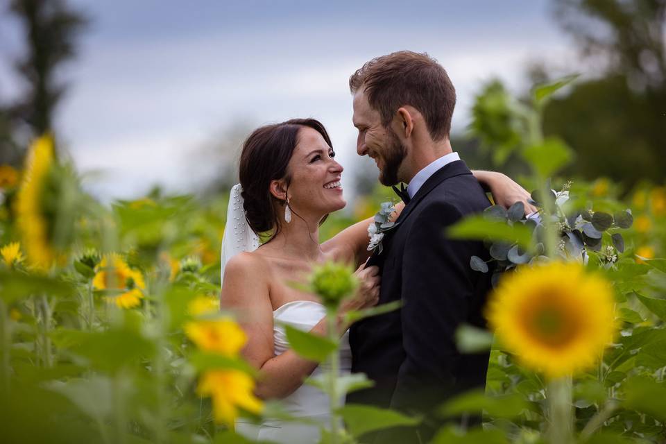 Couple's Photo in Sunflowers