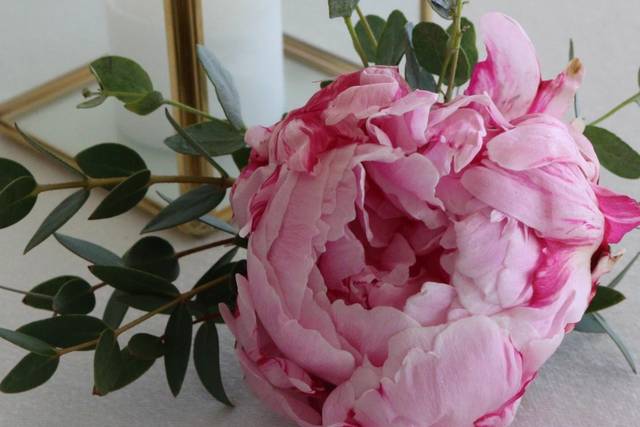 Peony boutonniere