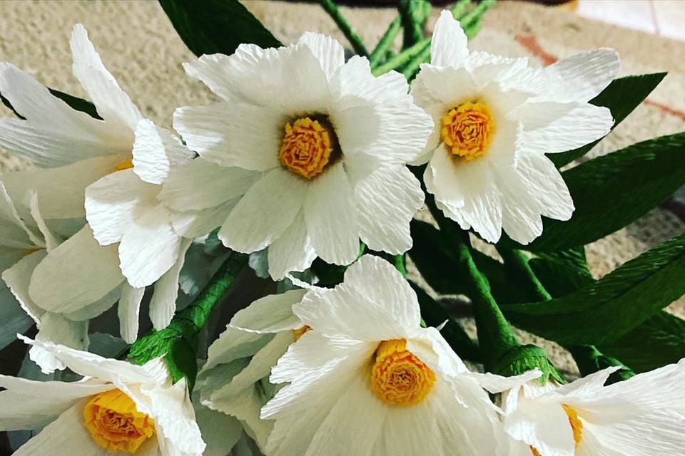 Classic white daisies