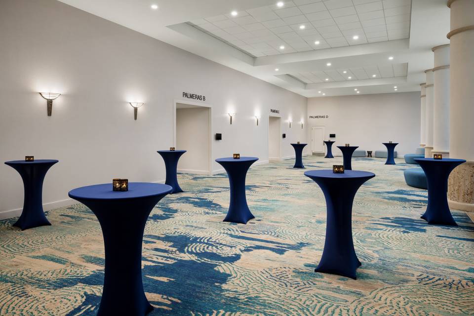 Prefunction area Palmeras