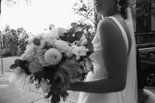 Stephanie S. Weddings