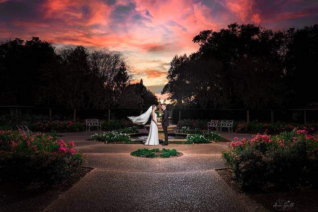 Arina Smith Photography