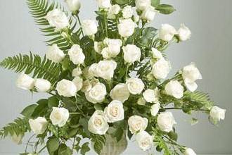 Any Occasion By Dawn