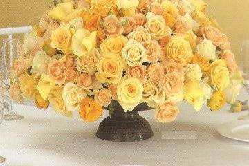 Any Occasion By Dawn